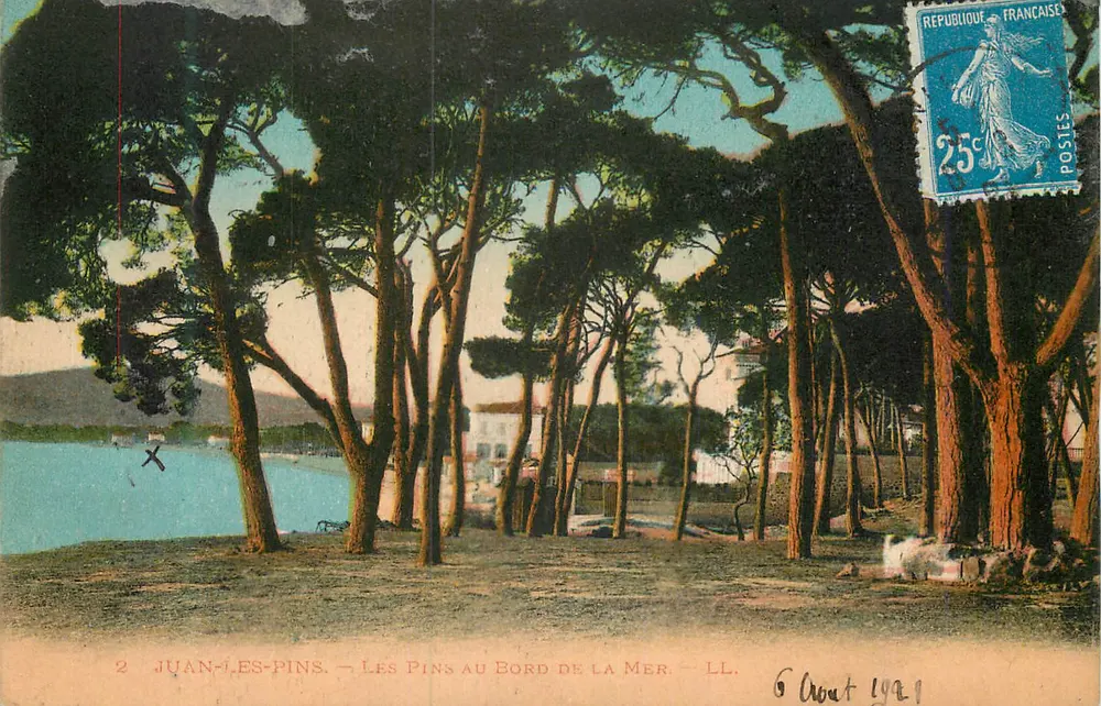 Juan-les-Pins — Les Pins au Bord de la Mer — LL - Recto