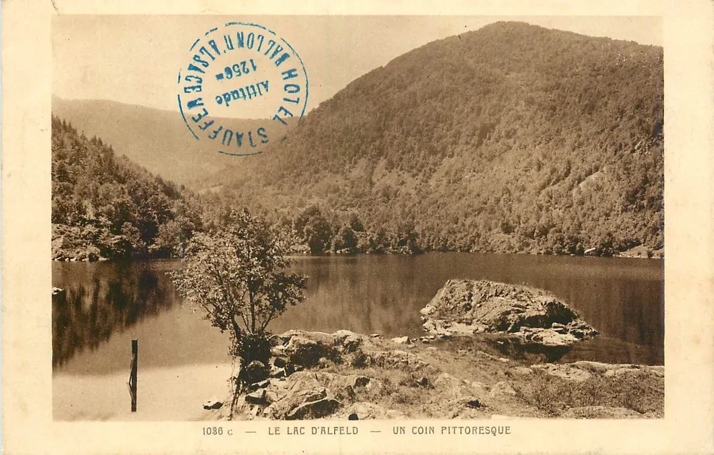 El Lago de Alfeld — Un rincón pintoresco — Cartas « M. » Braun, n° 1038 c - Anverso