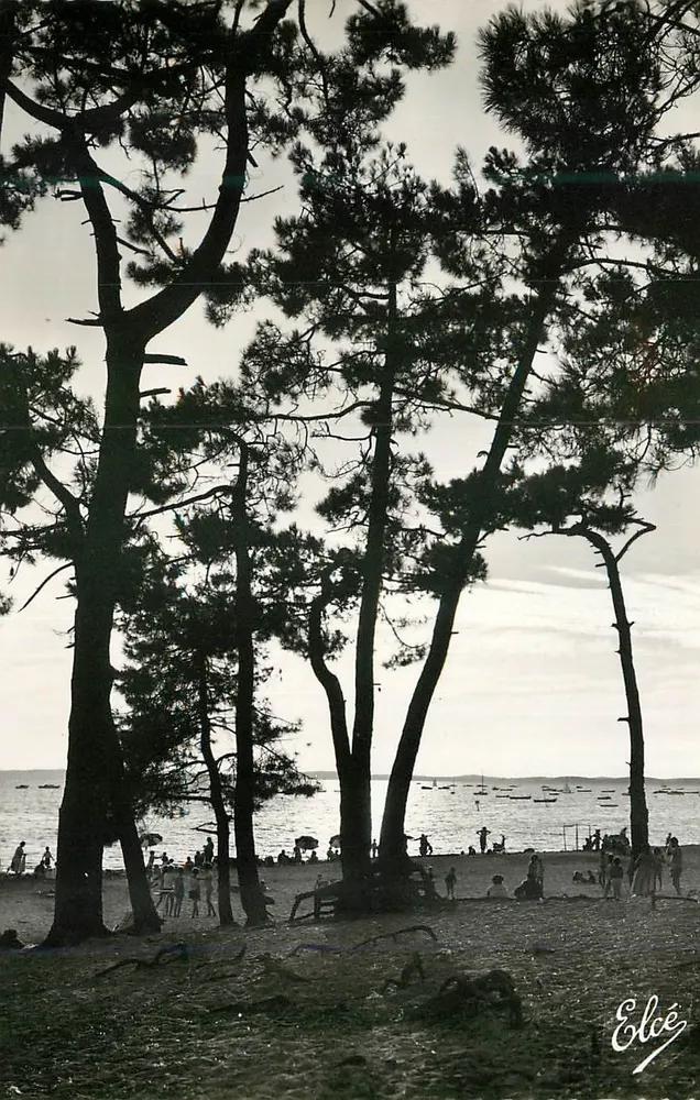Arcachon-Becken — Schattige Pinienstrand — L. CHATAGNEAU, Bordeaux - Vorderseite