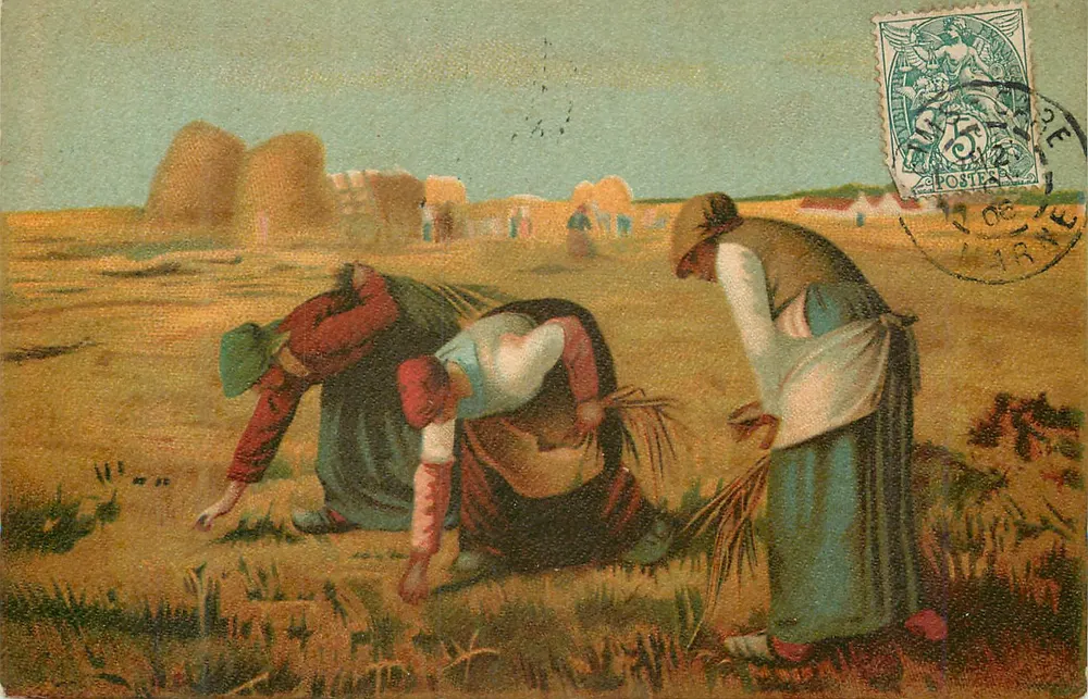 Colheita de trigo — Paisagem rural — Editor não visível - Frente