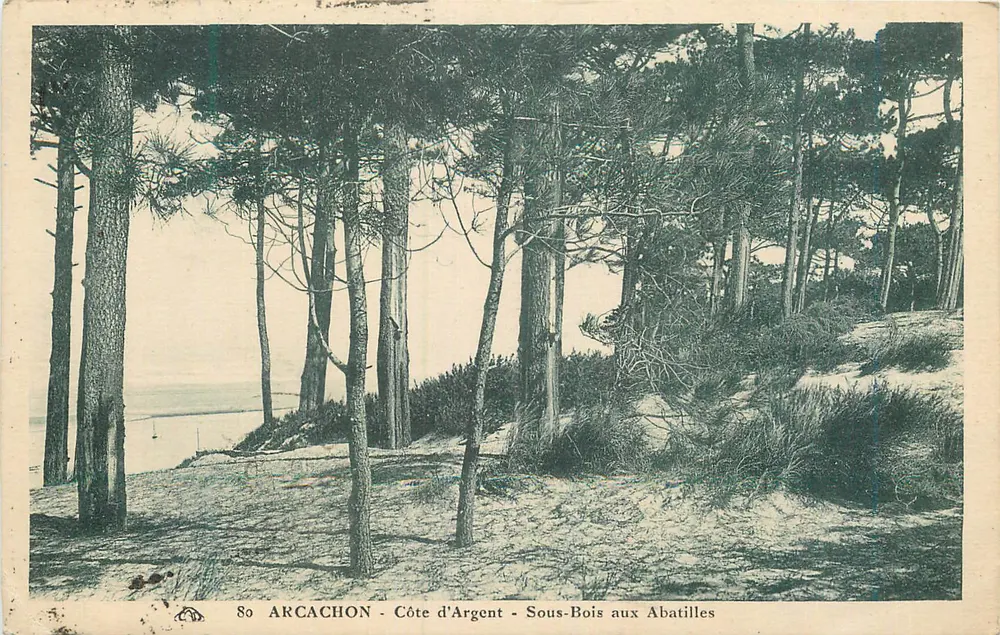 Arcachon - Costa de Prata - Subfloresta dos Abatilles — Edição Bazar do Hotel de Ville, Arcachon - Frente