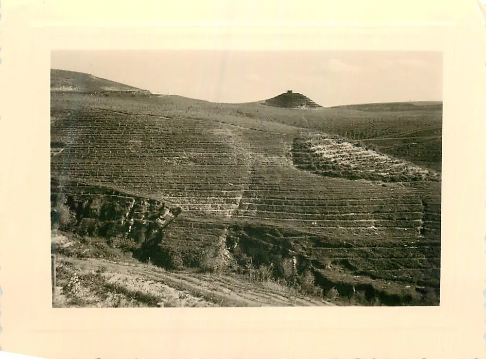 Paisagem de terraços agrícolas — Região de Enne Banquettes — Valox - Frente