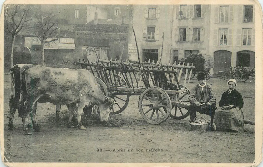 Vacas e carruagem — Após um mercado — Moussier, n°33 - Frente