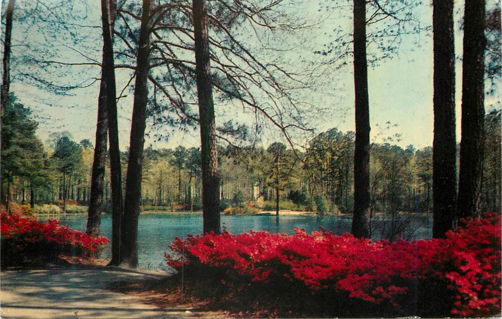 Azalea Gardens — Norfolk, Virginia — H. S. Crocker Co., Inc. - Vorderseite
