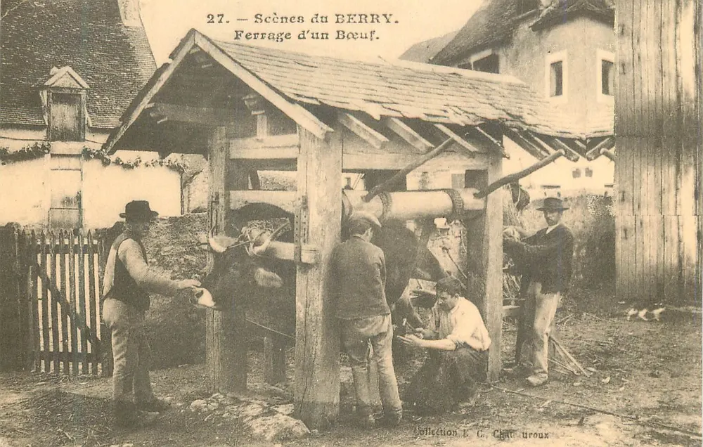 Calf Shoeing — Scenes from Berry — Collection L. G. Châtreoux - Front