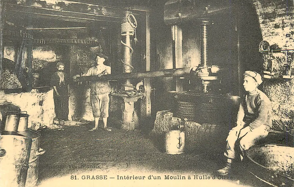 Grasse — Intérieur d'un Moulin à Huile d'Olive — Édition Phédon Grasse, n°81 - Recto