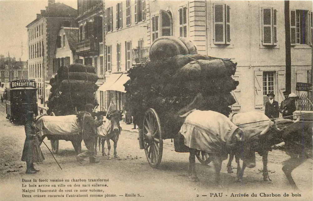 PAU - Chegada do Carvão de Madeira — Émile S. — Editado por CECODI, 91120 Palaiseau - Frente
