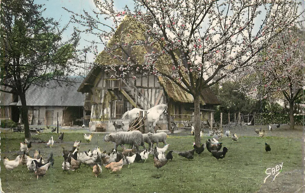 La Normandie — Réunion matinale — Éditions « SABY » - Recto