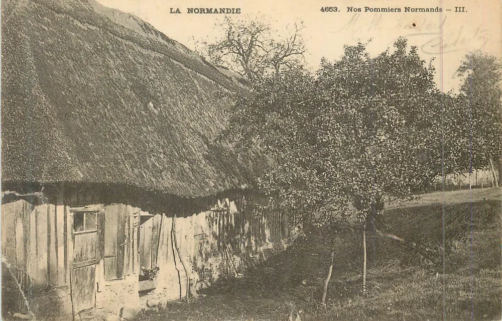 Unsere normannischen Apfelbäume — III. — Verlag LA NORMANDIE, n° 4653 - Vorderseite