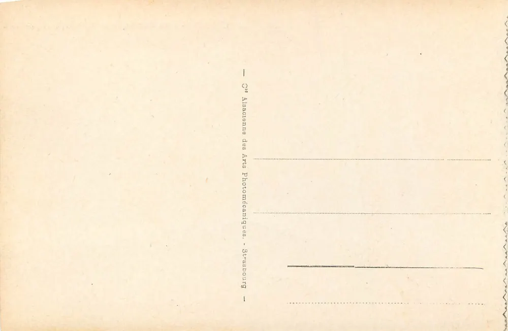 Lourdes - La Basilique et la Vierge couronnée — éditeur Cie Alsacienne des Arts Photomécéniques, Strasbourg — n° 41 - Verso