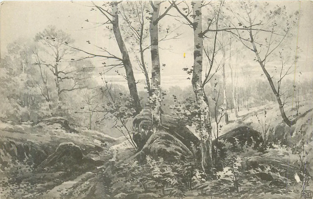 Floresta de pinheiros e bétulas — paisagem invernal — editor não identificado - Frente