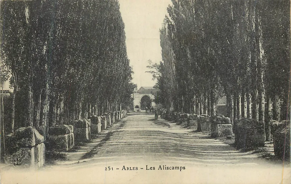 Arles - Les Aliscamps — vista da avenida cercada por árvores e muros antigos - Frente