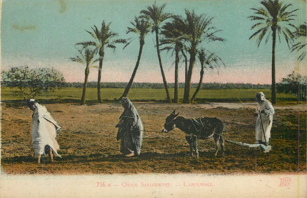 Oásis do Deserto — Laboragem — Neurdein Frères, Paris - Frente