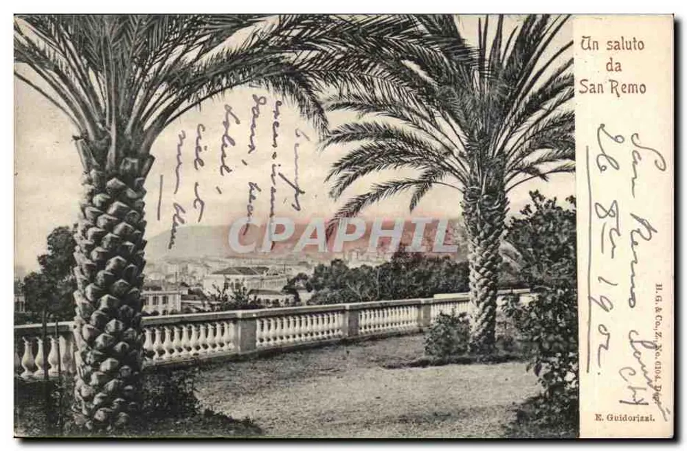 San Remo — Panoramablick zwischen zwei Palmen — H. & A. Co., Nr. 6104 - Vorderseite