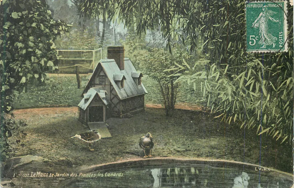 Le Mans. Le Jardin des Plantes, les Canards — L.V. & Cie - Recto
