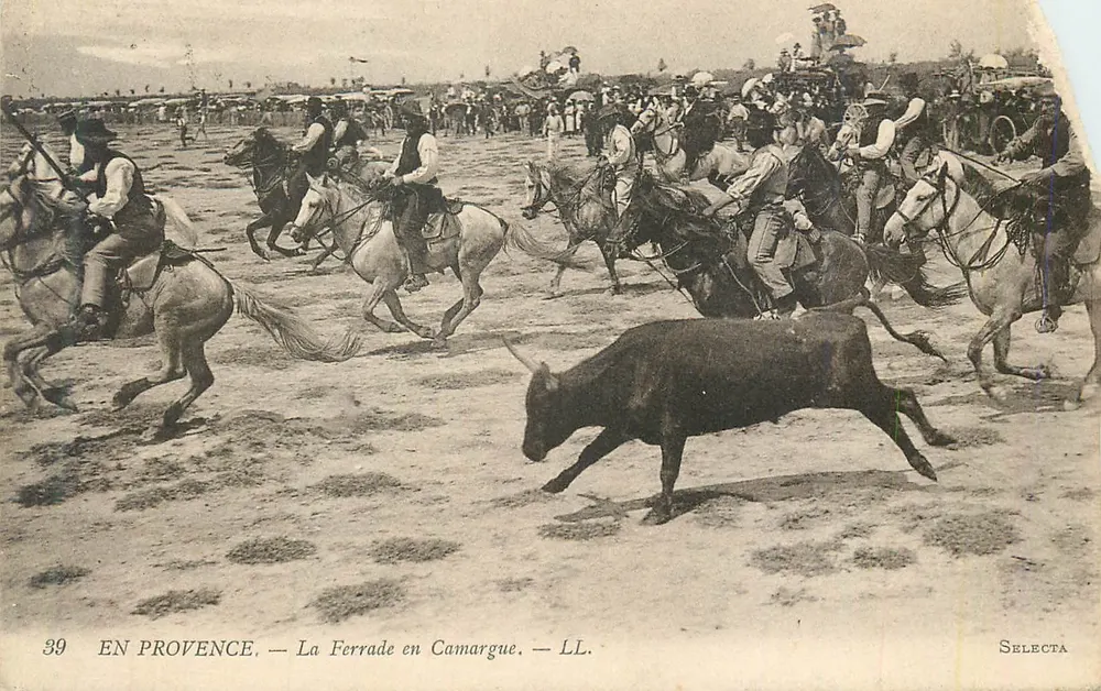La Ferrade in der Camargue — Selecta - Vorderseite