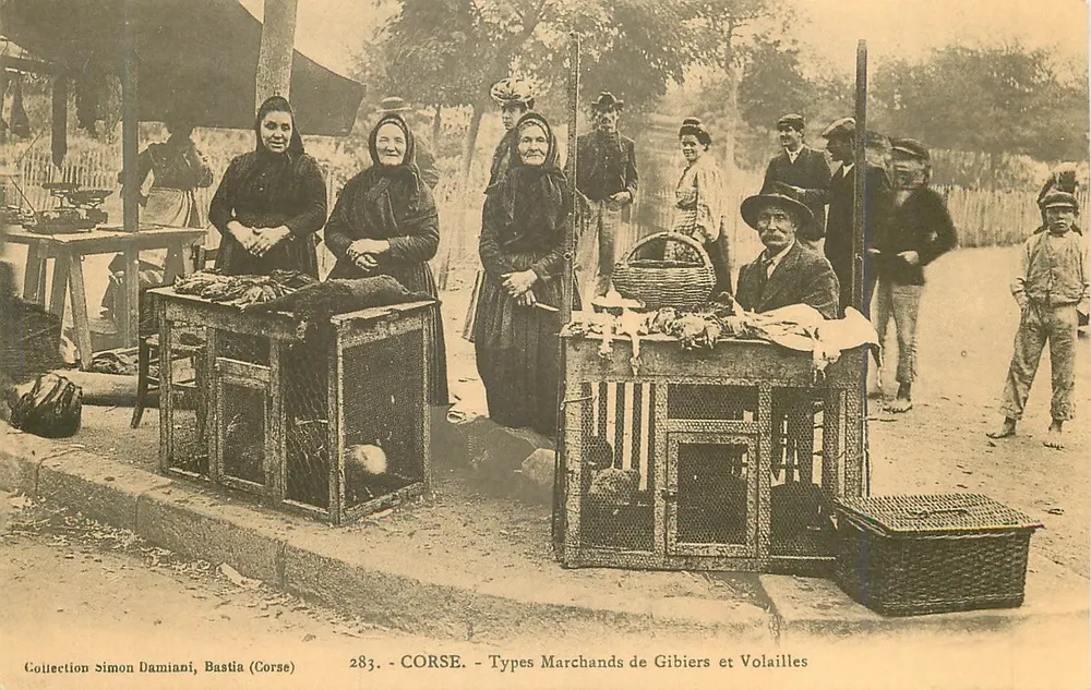Corse - Types Marchands de Gibiers et Volailles — Collection Simon Damiani, Bastia (Corse) n°283 - Recto