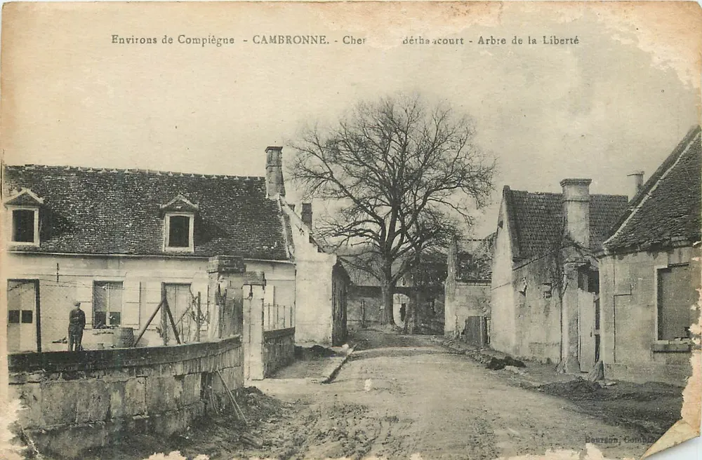 Cambronne - Arbre de la Liberté — vue de la rue avec maison et grand arbre dénudé — éditeur Hauréon, Compiègne - Voorkant