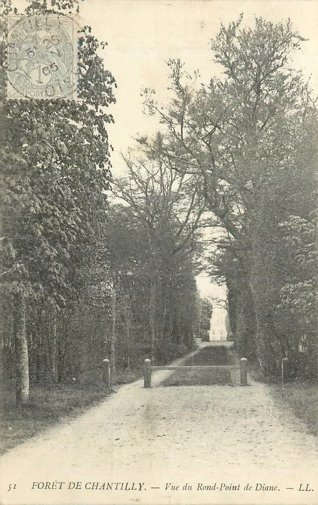 Floresta de Chantilly — Vista do Rond-Point de Diane — LL - Frente