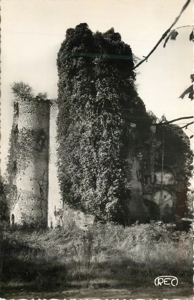 Ruinas del Castillo de Jouy — Cher — editor M. ROUSSEL, n° 257 - Anverso