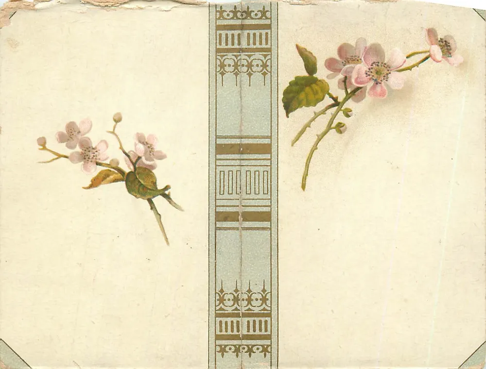 Fleurs de cerisier et de framboisier — décor floral avec motif central — éditeur non visible - Frente