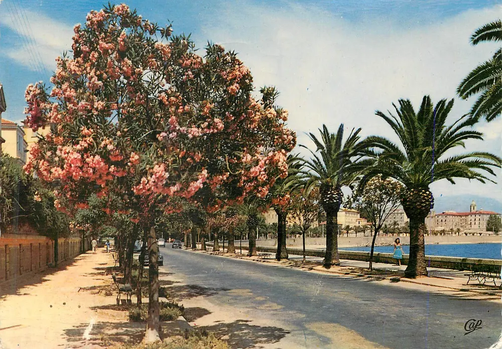 Ajaccio — Boulevard Albert 1er — Ektacap - Frente