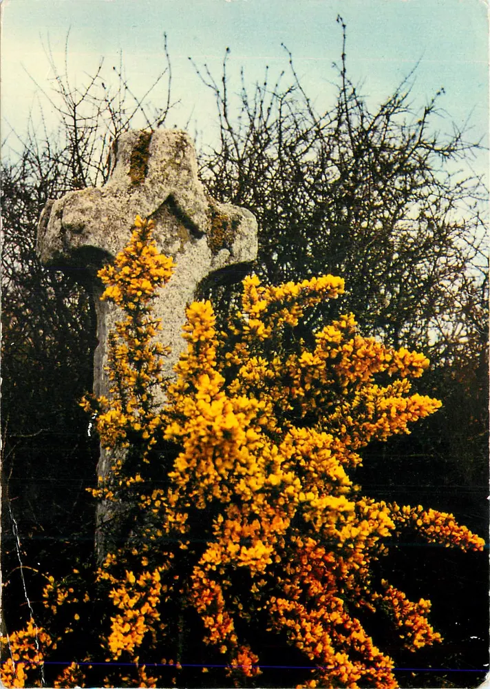 Cruz de estrada — adornada com um arbusto de amor-perfeito — Edições de Arte JOS, Châteauneuf - Frente