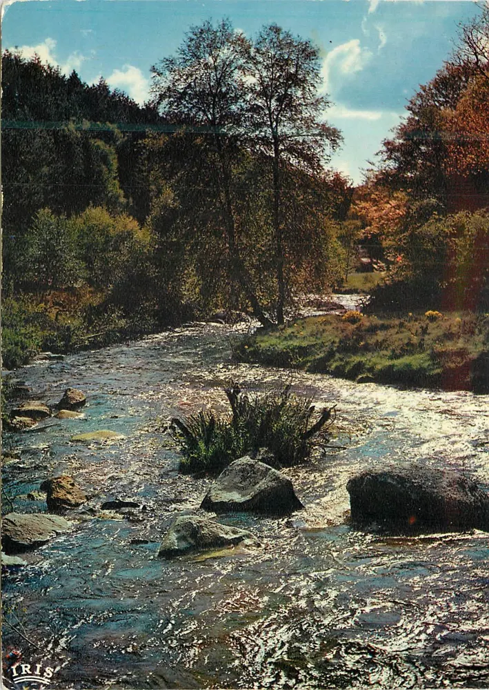 Grüner Talbach — Limousin — Moderne Ausgabe « Théolac » - Vorderseite