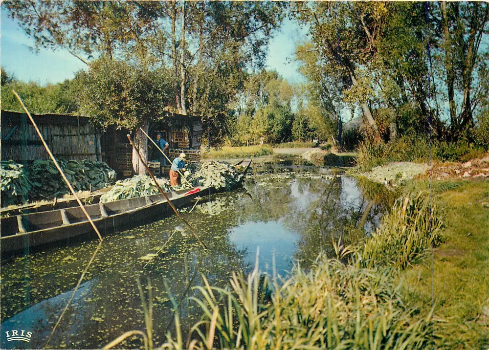 Camon - Os Hortillonnages — Amiens (Somme) — Éditions La Cigogne - Frente