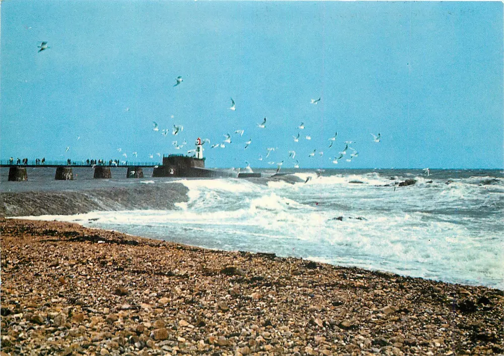 Les Sables-d'Olonne — Vol de mouettes devant la grande jetée — PAPYRA - Frente
