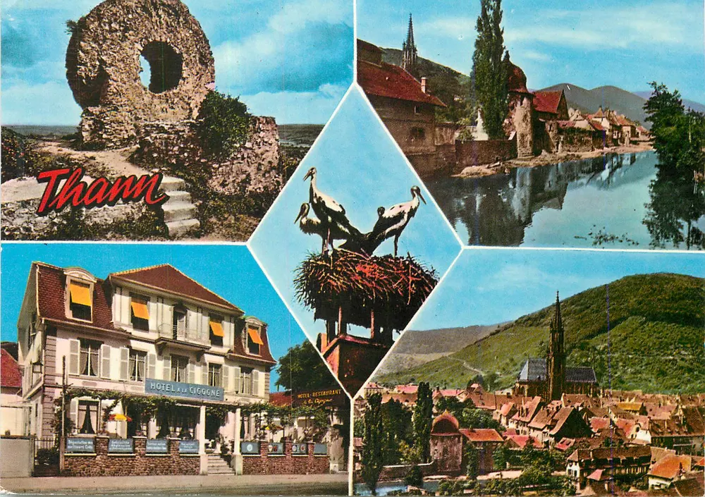 Thann — Ruínas de Engelbourg, Hotel La Cigogne, vista geral — Elnacap - Frente