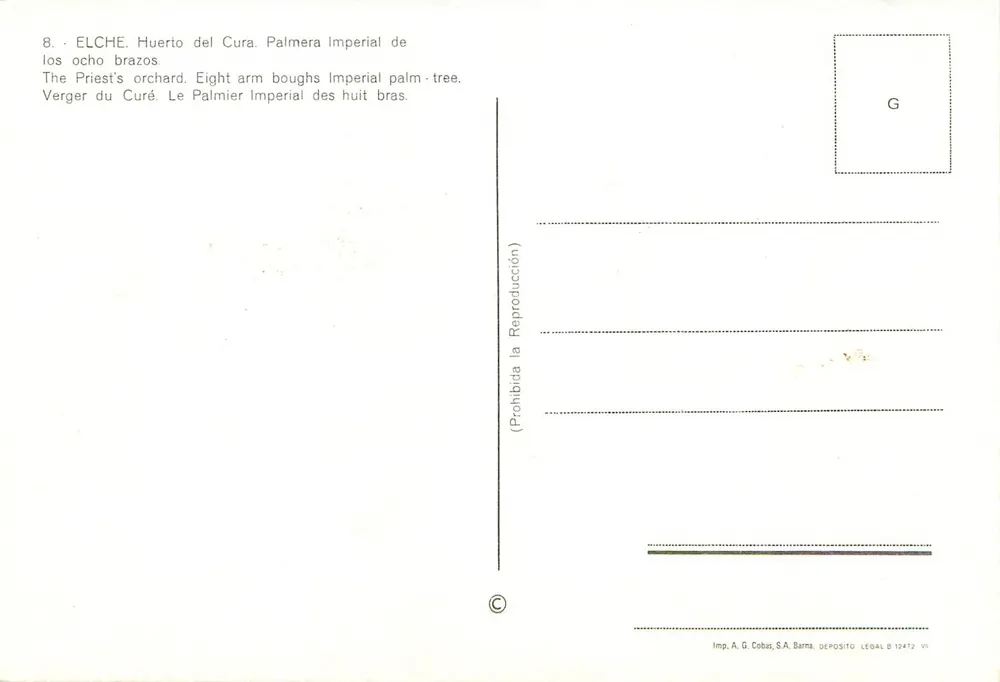 Elche - Huerto del Cura. Palmera Imperial de los ocho brazos — Imp. A. G. Cobas, S.A. Barna, DEPOSITO LEGAL B 12472 - Verso