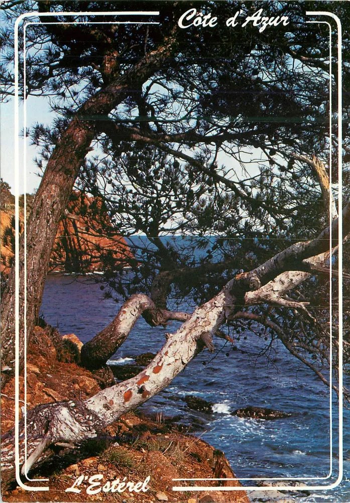L'Estérel — Côte d'Azur — Éditions M.I.R.E. Menton - Recto
