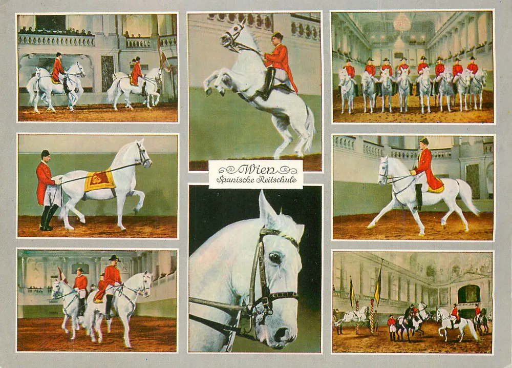 Viena — Escuela de equitación española — Verlag Richard Pietsch & Co. KG - Anverso