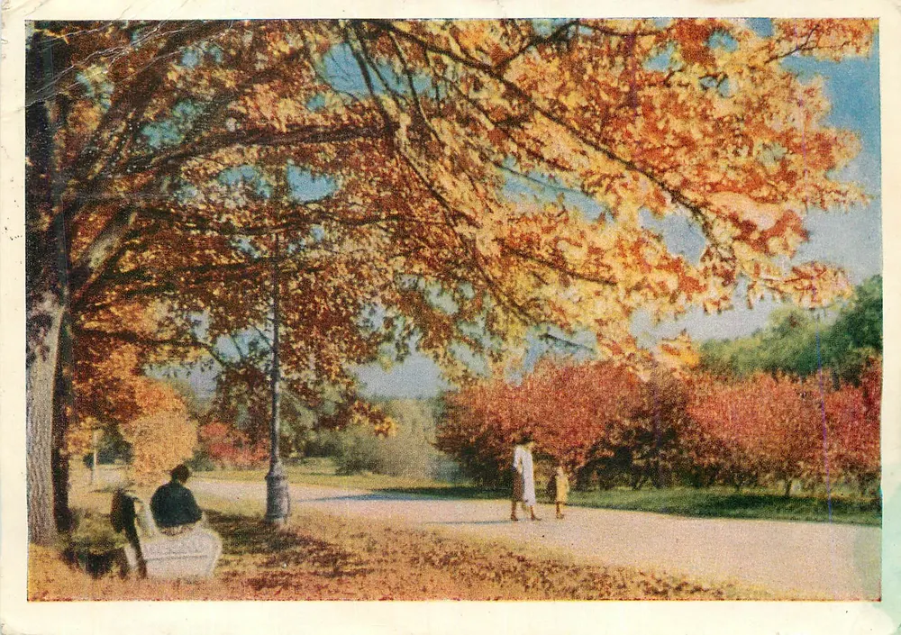 Automne à Sokolniki — parc moscovite — éditeur « Цветное фото Р. Шраде » - Awers