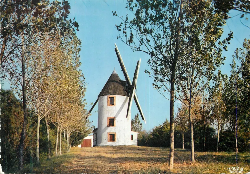 Velho Moinho de Vento — Bocage Vendéen — Edições Mexichrome, n° 85/153 - Frente