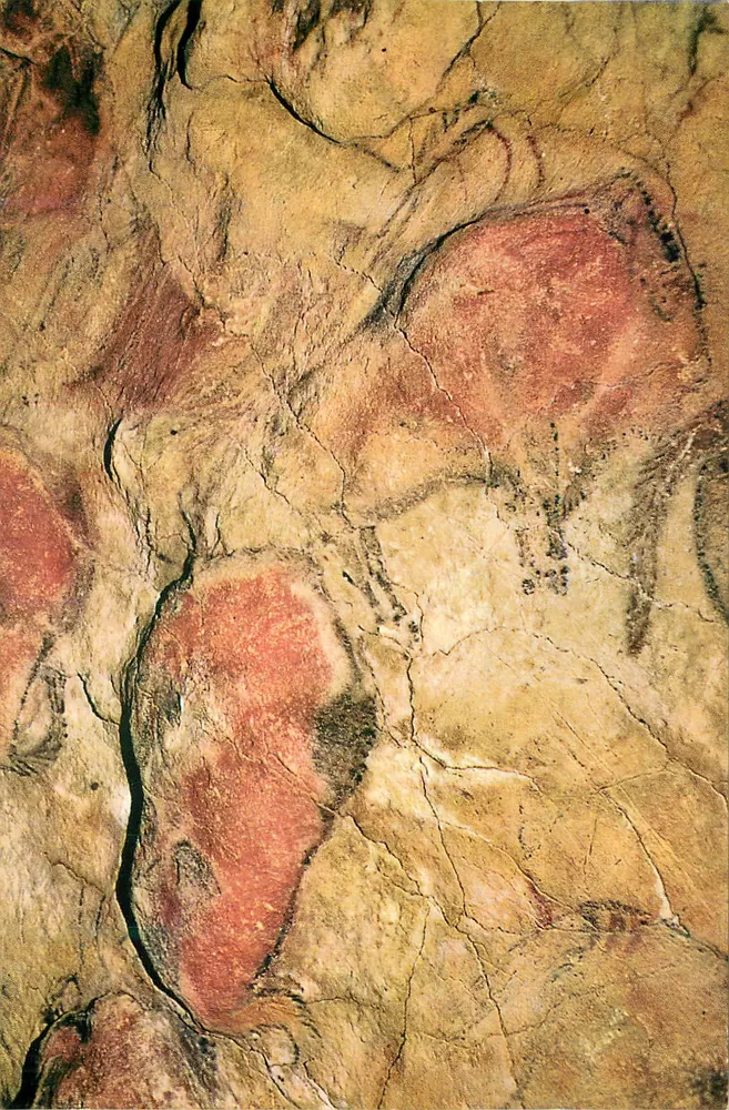 Altamira — Przehistoryczne jaskinie — Patronato Cuevas Prehistóricas de Santander - Awers