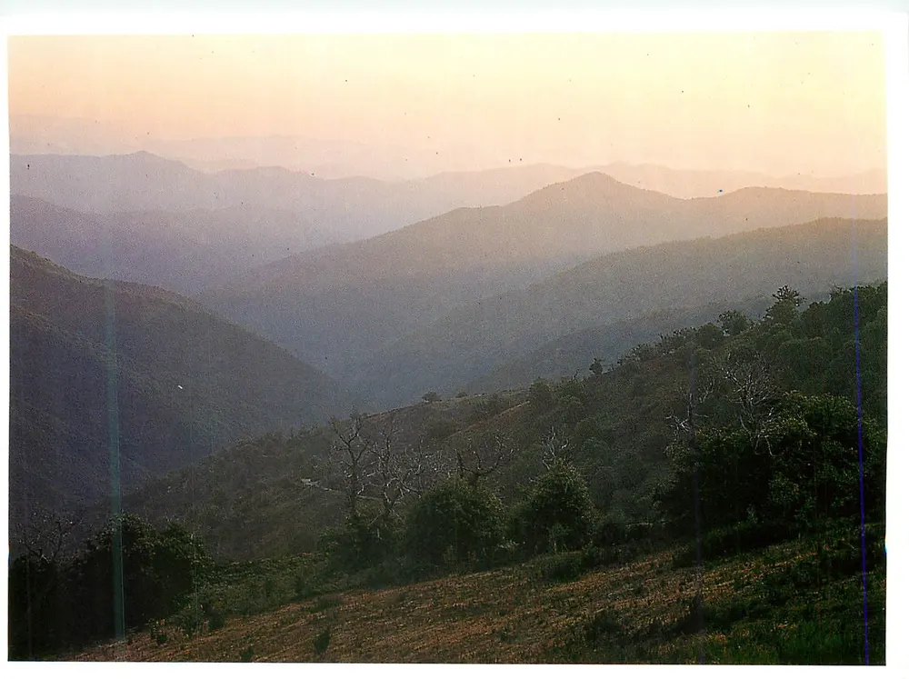 Cévennes — Le Crouzinal — SEPTETELLE Sari - Vorderseite