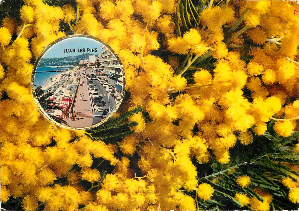 Juan-les-Pins — vista da praia e do porto — Éditions VALLAZUR - GRASSE - Frente