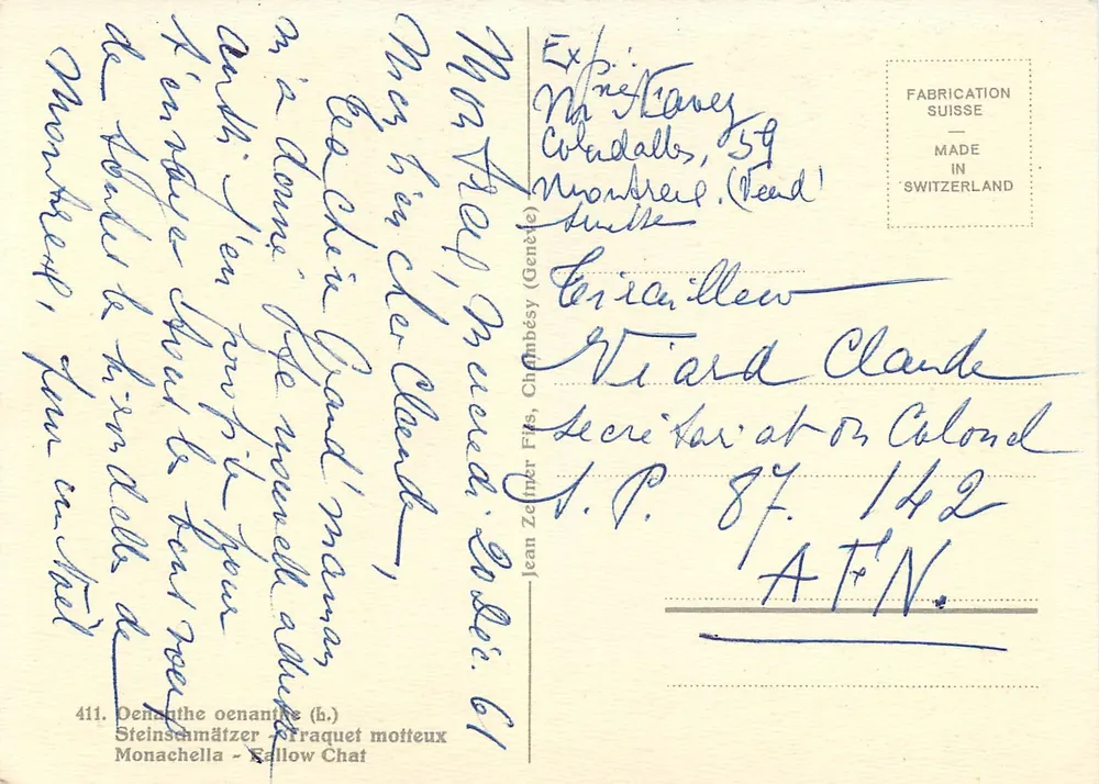 Ave em borda de riacho — pintura de C. Zeilner — editor Steinsehmätzer, n°411 - Verso