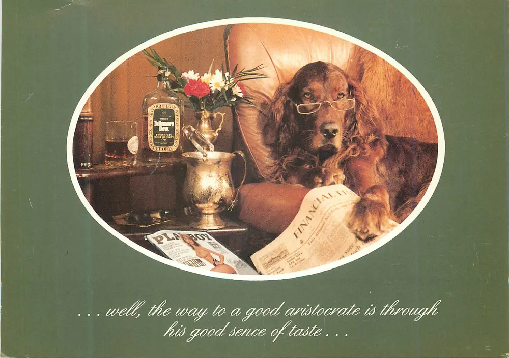Eleganter Hund mit Whisky und Zeitschriften — Werbung für das Ringhotel Giessen - Vorderseite