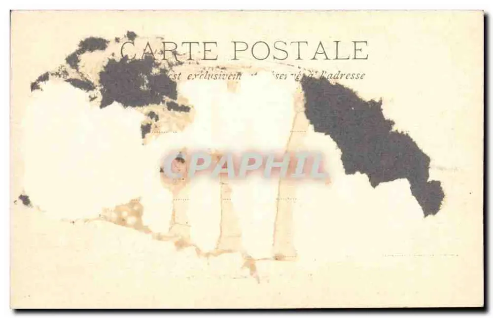 Ilha de Santa Margarida — Sous-Bois — W. Stocker, Cannes, Nr. 222 - Verso