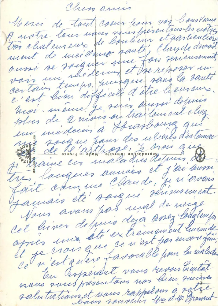 Flores de margaridas — reprodução — Coleção Nacional - Verso