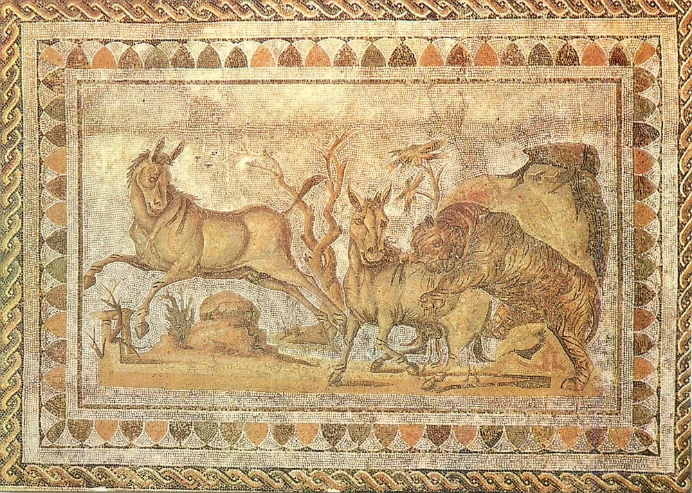 Onagros atacados por una tigre — Museo de El Jem — Exposición «de Cartago a Kairouan» París 1982/83 - Anverso