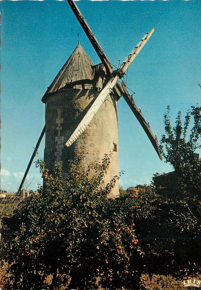 Der Mühle — Bekanntes Landschaftsbild des Bocage — Editions VENDEE PITTORESQUE n°85.119 - Vorderseite