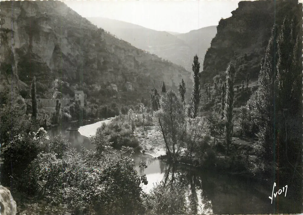 Gorges du Tarn — Les rives du Tarn — Éditions d'Art 'YVON' - Recto