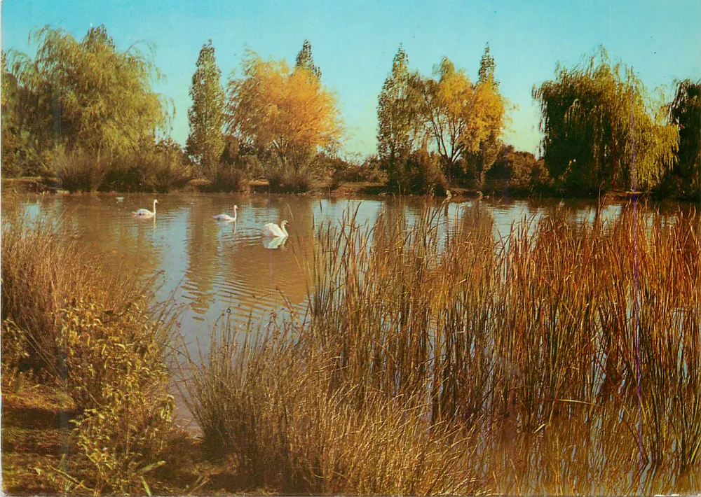 Saint-Pierre-de-Tourtour — Le Lac en Automne — Imprimerie Raphaël - Recto