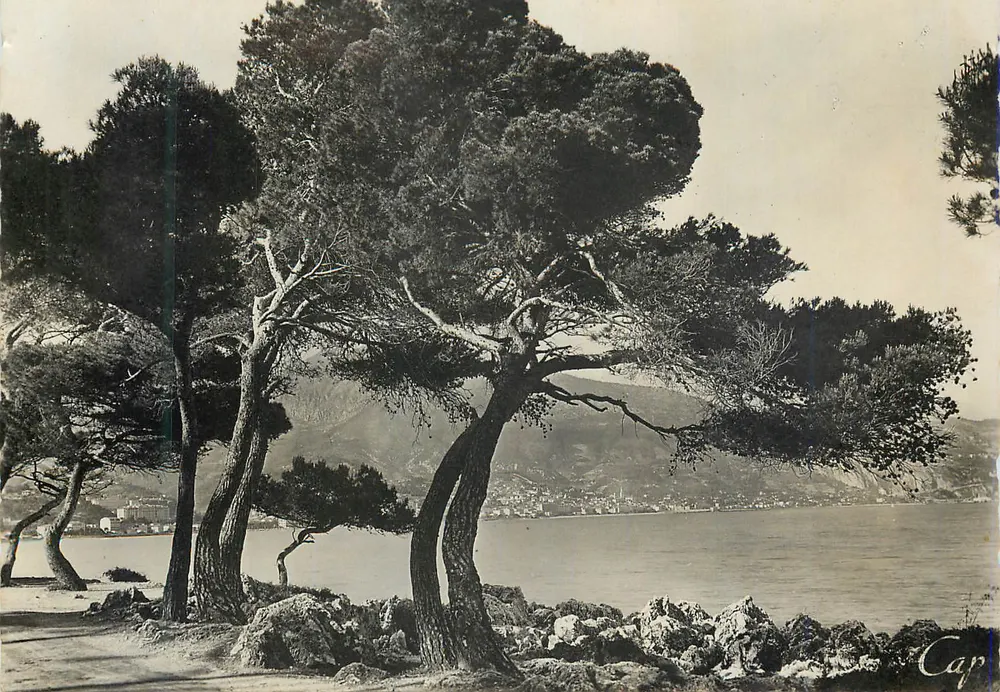 Cap Martin — Uitzicht genomen vanaf Cap Martin — REAL-PHOTO & C.A.P. - PARIS - Voorkant