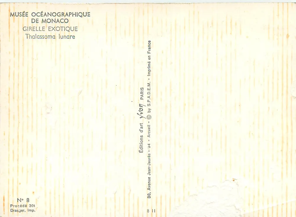 Poisson bleu et corail orange — Musée océanographique de Monaco — Éditions d'art Yvon, n° 8 - Verso