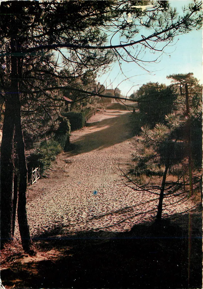 Little Forest Path — Saint-Jean-de-Monts (Vendée) — Modern Editions « Théolac » - Front